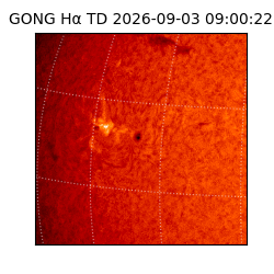 gong - 2026-09-03T09:00:22