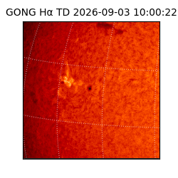 gong - 2026-09-03T10:00:22