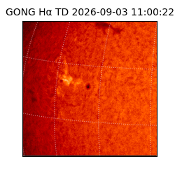 gong - 2026-09-03T11:00:22