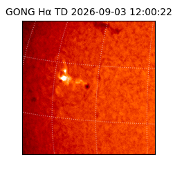gong - 2026-09-03T12:00:22