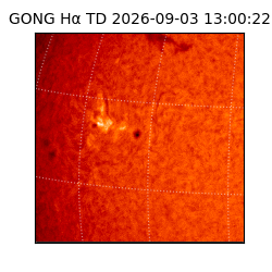 gong - 2026-09-03T13:00:22