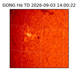 gong - 2026-09-03T14:00:22
