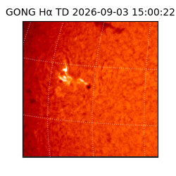 gong - 2026-09-03T15:00:22