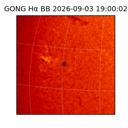 gong - 2026-09-03T19:00:02