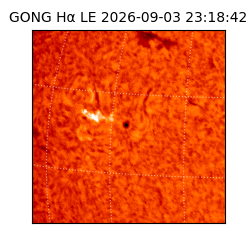 gong - 2026-09-03T23:18:42