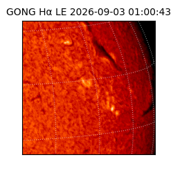 gong - 2026-09-03T01:00:43