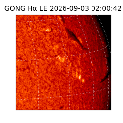 gong - 2026-09-03T02:00:42