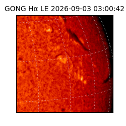 gong - 2026-09-03T03:00:42