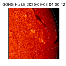 gong - 2026-09-03T04:00:42