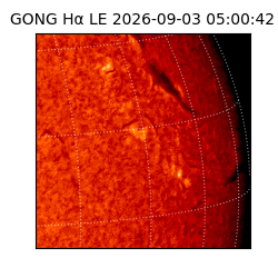 gong - 2026-09-03T05:00:42