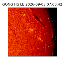 gong - 2026-09-03T07:00:42