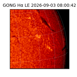 gong - 2026-09-03T08:00:42