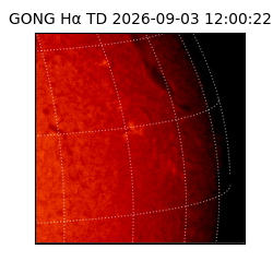 gong - 2026-09-03T12:00:22