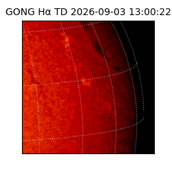 gong - 2026-09-03T13:00:22