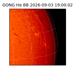gong - 2026-09-03T19:00:02