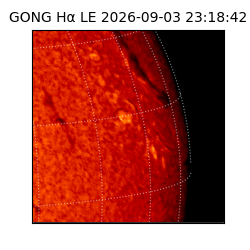 gong - 2026-09-03T23:18:42
