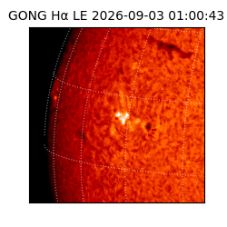 gong - 2026-09-03T01:00:43