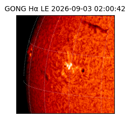 gong - 2026-09-03T02:00:42