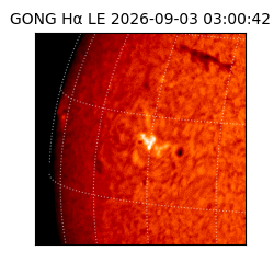 gong - 2026-09-03T03:00:42
