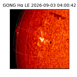 gong - 2026-09-03T04:00:42