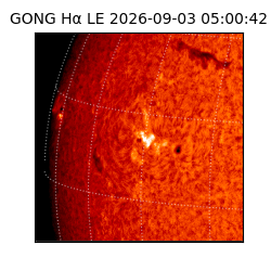gong - 2026-09-03T05:00:42