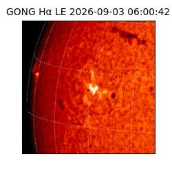 gong - 2026-09-03T06:00:42