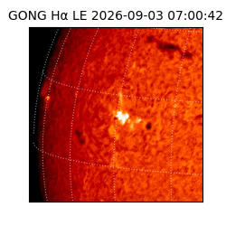 gong - 2026-09-03T07:00:42
