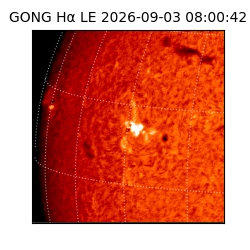 gong - 2026-09-03T08:00:42