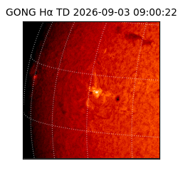 gong - 2026-09-03T09:00:22
