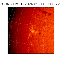 gong - 2026-09-03T11:00:22