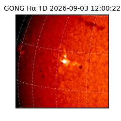 gong - 2026-09-03T12:00:22