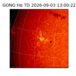 gong - 2026-09-03T13:00:22