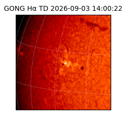 gong - 2026-09-03T14:00:22