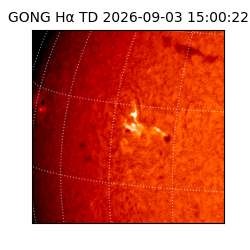 gong - 2026-09-03T15:00:22