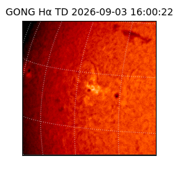 gong - 2026-09-03T16:00:22