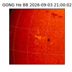 gong - 2026-09-03T21:00:02