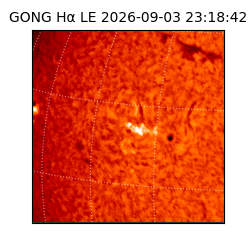 gong - 2026-09-03T23:18:42