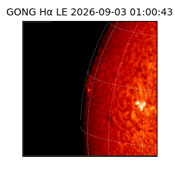 gong - 2026-09-03T01:00:43