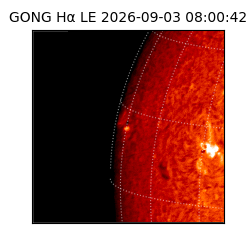 gong - 2026-09-03T08:00:42