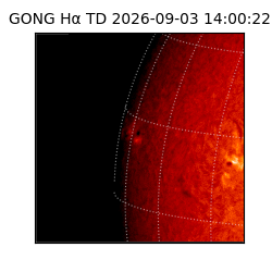 gong - 2026-09-03T14:00:22