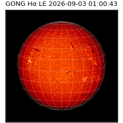 gong - 2026-09-03T01:00:43