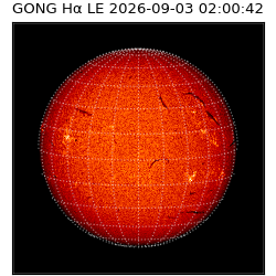 gong - 2026-09-03T02:00:42