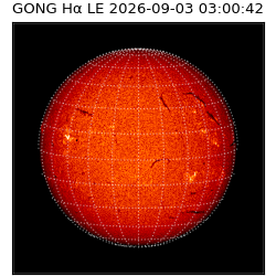 gong - 2026-09-03T03:00:42