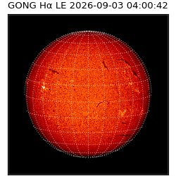 gong - 2026-09-03T04:00:42