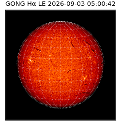 gong - 2026-09-03T05:00:42