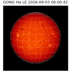 gong - 2026-09-03T06:00:42