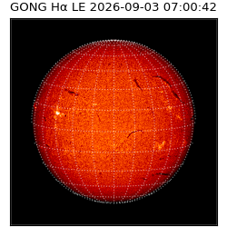 gong - 2026-09-03T07:00:42