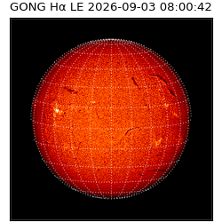 gong - 2026-09-03T08:00:42
