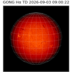 gong - 2026-09-03T09:00:22