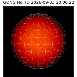 gong - 2026-09-03T10:00:22